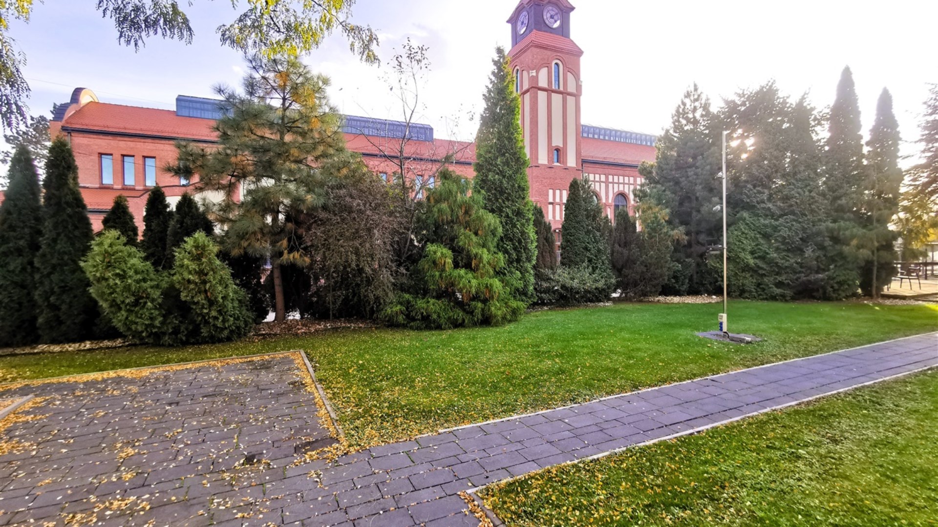 Lokal na sprzedaż
