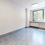 Lokal na wynajem