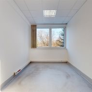 Lokal na wynajem