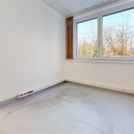Lokal na wynajem